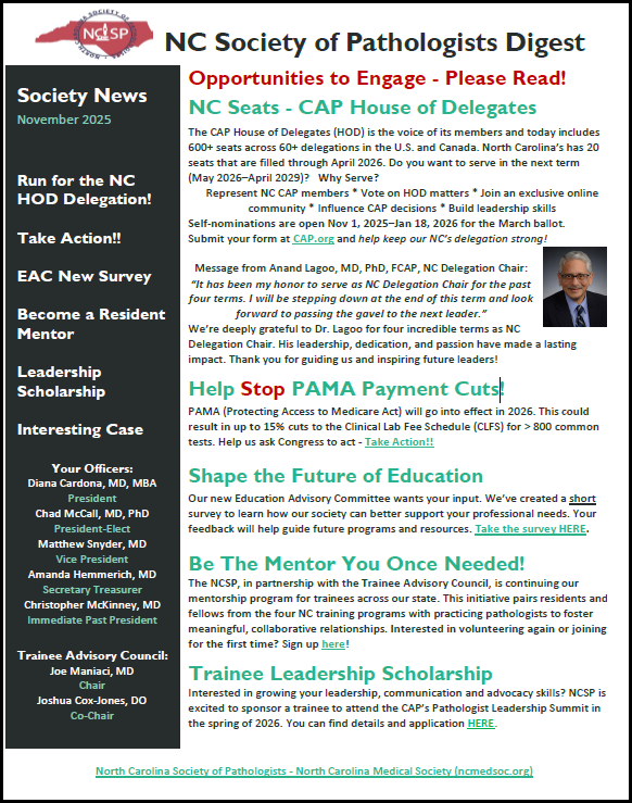 NCSP Digest Cover - November 2025